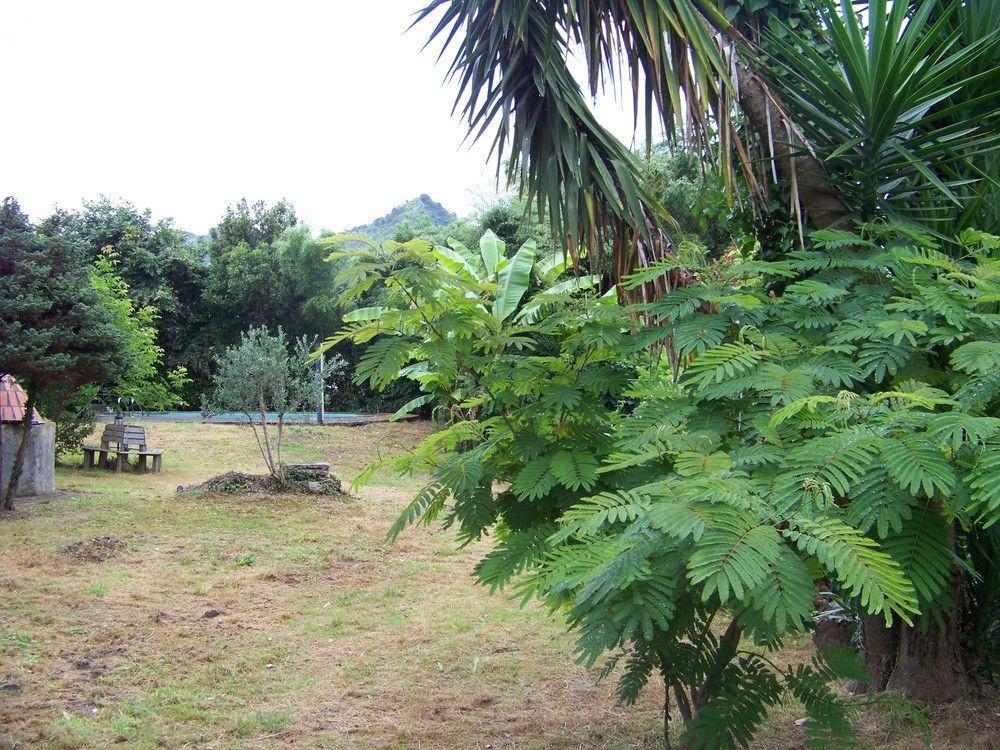 B&B El Jardin De Aes Puente Viesgo Exterior photo