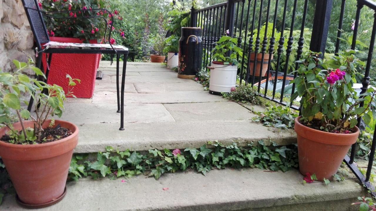 B&B El Jardin De Aes Puente Viesgo Exterior photo
